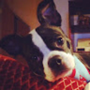 Meet your Posher, Kenneth